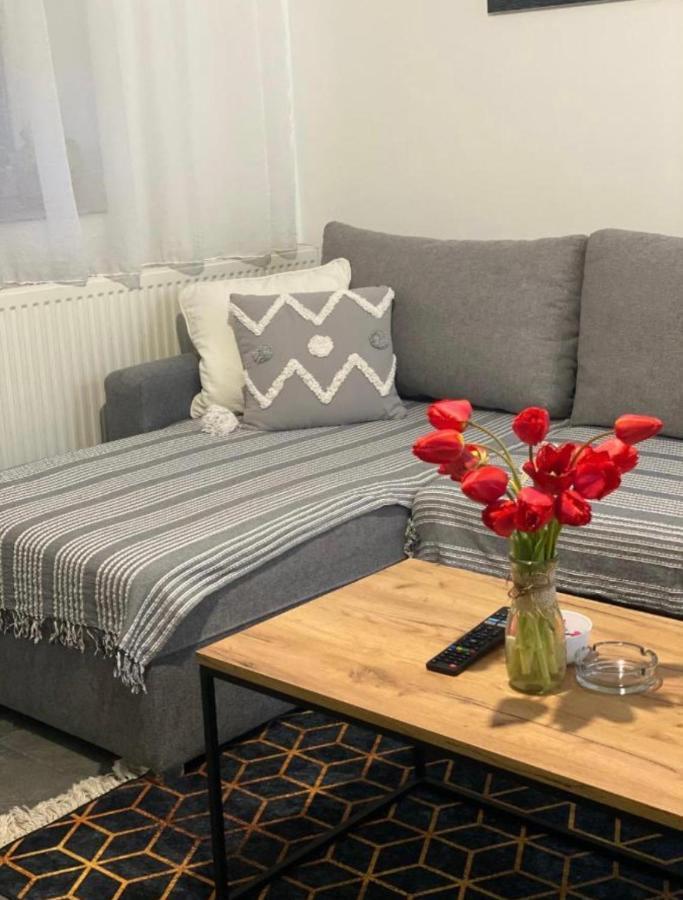 Bellas Apartmani Novi Sad Dış mekan fotoğraf